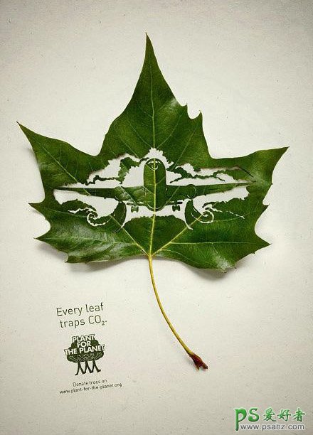 个性时尚的树叶剪影海报设计作品，漂亮的树叶剪影素材图片。