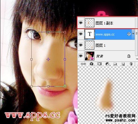 第二十七课：简单使用ps把MM鼻子缩小（鼻部美容）