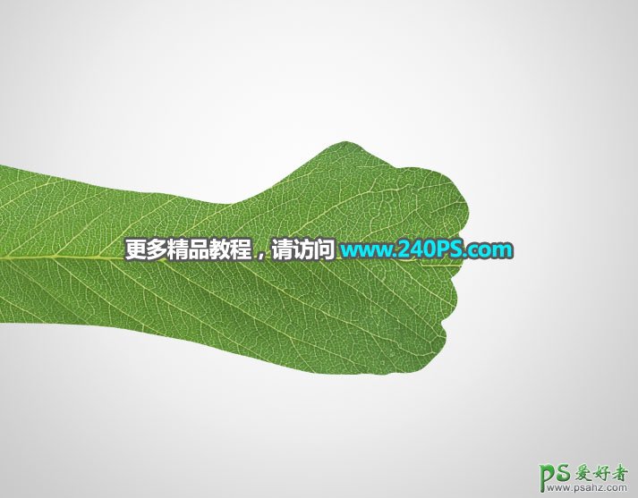 PS图片合成实例：创意合成一个逼真的树叶拳头，树叶与手臂合成