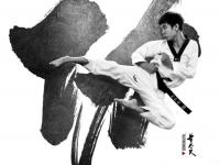 水墨风武术宣传海报设计作品 精美的中国风水墨武术海报图片