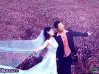 给花草地上的情侣婚片调出绚丽的蓝紫色 PS调色教程