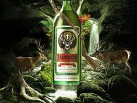 漂亮的酒类产品平面广告设计作品 设计精美的酒类产品宣传海报