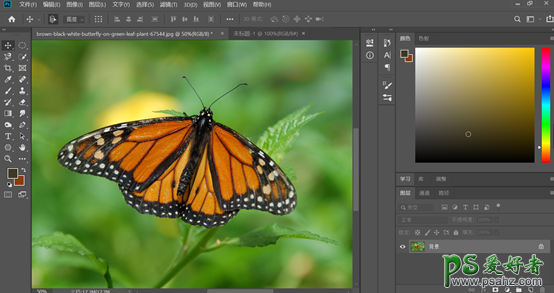 Photoshop制作逼真的蝴蝶琥珀，漂亮完整的蝴蝶化石。