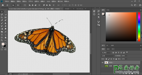 Photoshop制作逼真的蝴蝶琥珀，漂亮完整的蝴蝶化石。