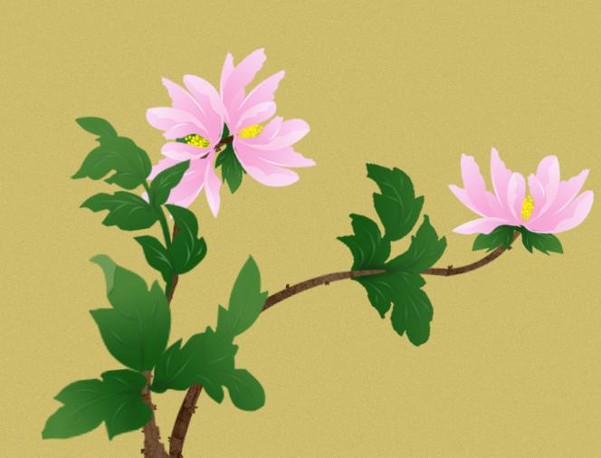 PS鼠绘花卉图片教程：利用钢笔工具绘制漂亮的芍药花图片。