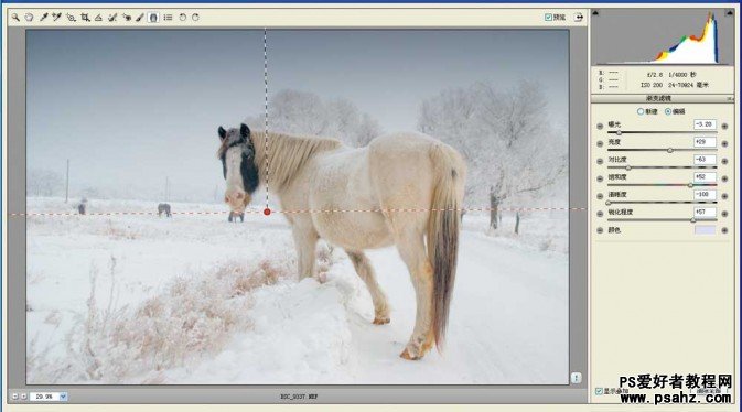 Photoshop+RAW调出意境的冬日雪景照片效果
