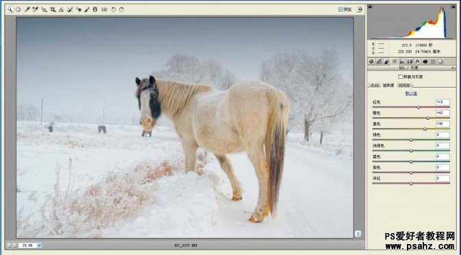 Photoshop+RAW调出意境的冬日雪景照片效果