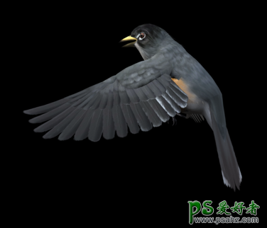 PS图片合成教程：合成一幅人鸟沟通的仙境场景特效