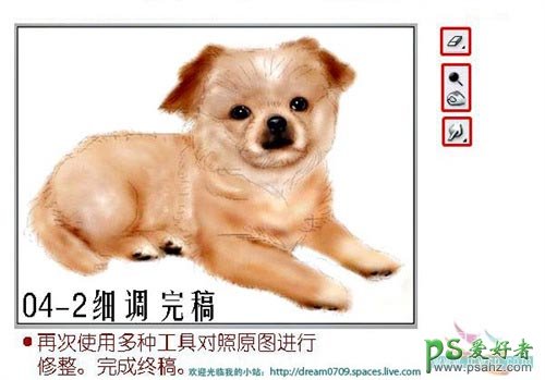 PS鼠绘教程：绘制漂亮逼的毛绒小狗图片，PS鼠绘动物小狗实例教程