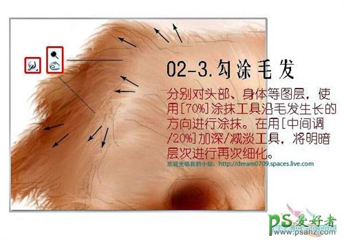 PS鼠绘教程：绘制漂亮逼的毛绒小狗图片，PS鼠绘动物小狗实例教程