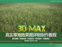 仿真草地效果图制作教程 学习用3DMAX手工制作真实质感的草坪