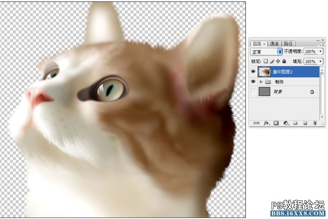 Photoshop鼠绘可爱的小猫素材图,手绘毛绒质感小猫案例。