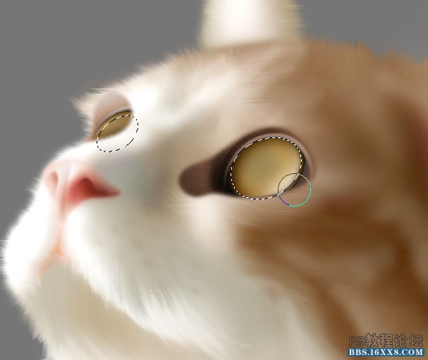Photoshop鼠绘可爱的小猫素材图,手绘毛绒质感小猫案例。