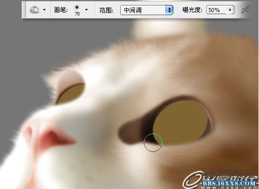 Photoshop鼠绘可爱的小猫素材图,手绘毛绒质感小猫案例。