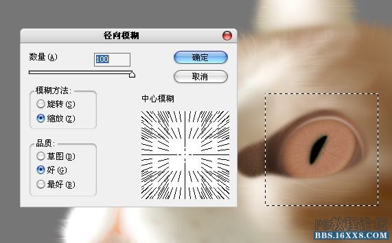 Photoshop鼠绘可爱的小猫素材图,手绘毛绒质感小猫案例。