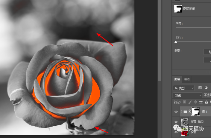 PS给玫瑰花图片制作成火焰效果,让玫瑰燃烧起来。