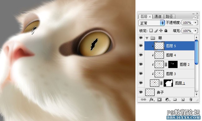 Photoshop鼠绘可爱的小猫素材图,手绘毛绒质感小猫案例。