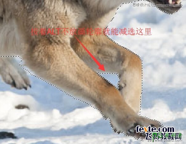 PS照片特效教程：通过后期溶图打造出从冰雪中冲出的狼特效