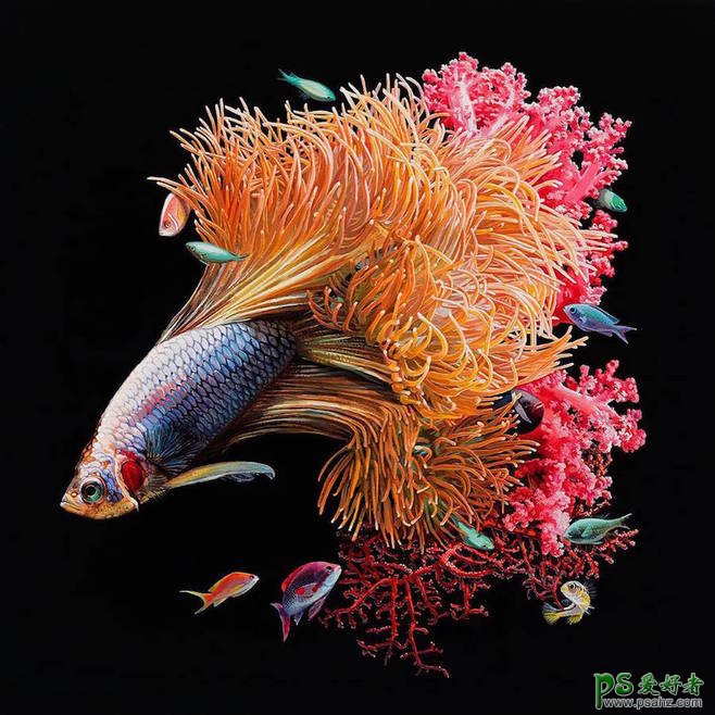 欣赏一组金鱼与珊瑚的完美合成设计，漂亮的鱼与珊瑚场景合成作品