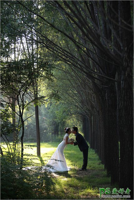 PS婚纱照调色：给树林中拍摄的一对情人婚纱照调出灿烂的阳光色彩