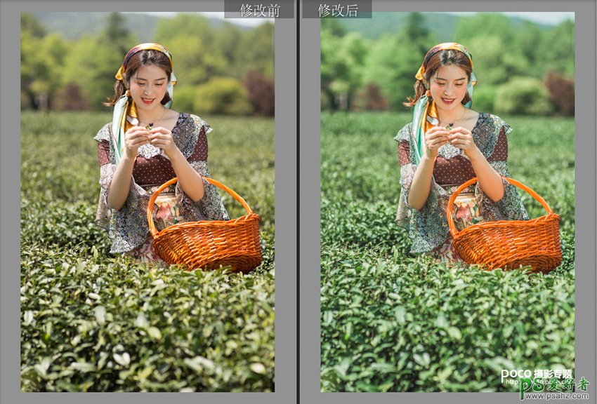 Photoshop给田野中的少女人物照片制作成仿手绘油画效果。