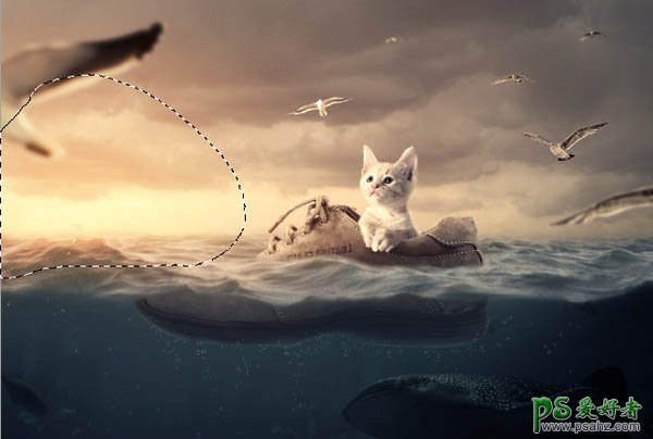 PS合成教程：创意打造一只可爱的小猫咪坐在鞋上环游大海的场景