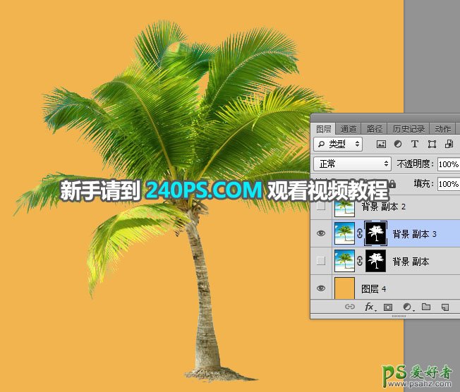 学习PS怎么抠图：利用通道工具快速抠出椰树素材图片。