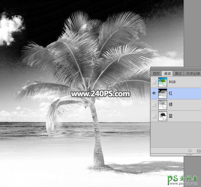 学习PS怎么抠图：利用通道工具快速抠出椰树素材图片。