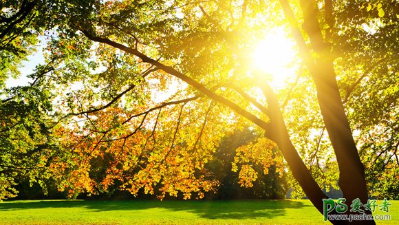PS创意文字制作教程：设计漂亮的秋季风景图案背景GIF动画文字效