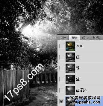 photoshop为树林照片制作出太阳透射光效果教程实例