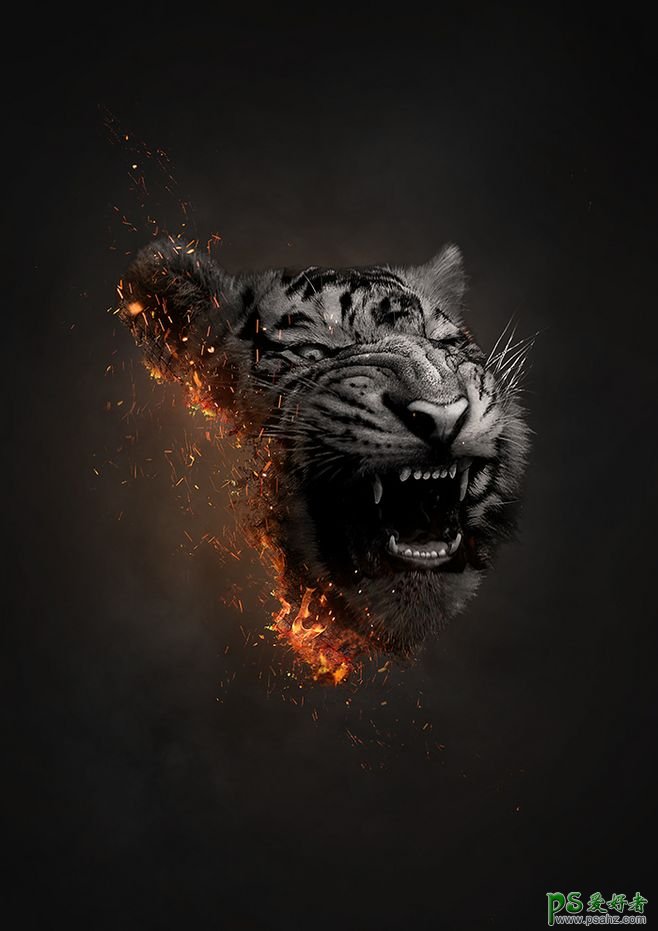欣赏一组野生动物呐喊效果的合成海报，火焰燃烧效果的动物头像。
