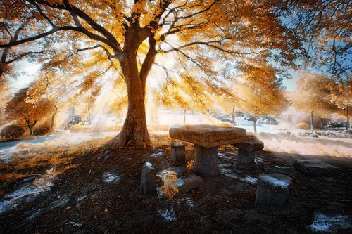 ps风光后期教程：给一幅金秋风景照片制作出丁达尔效应光线。