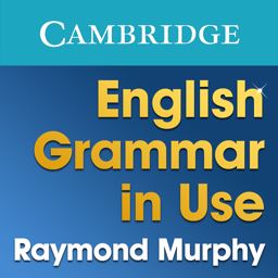 english grammar in use app下载