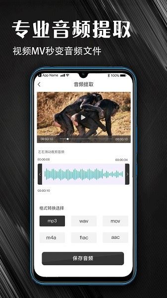 MP3音频提取器术图软件下载