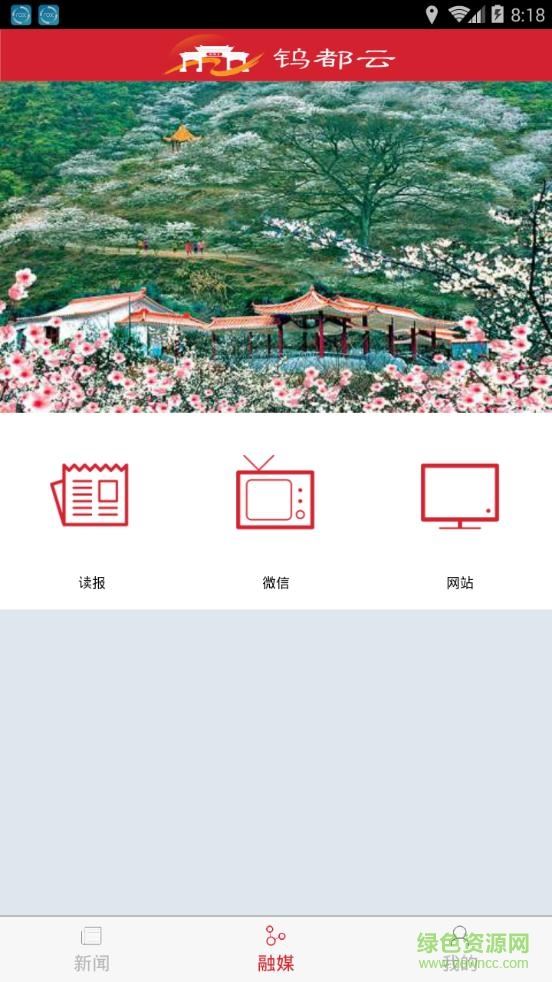 钨都云app