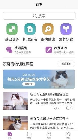 训猫养猫助手手机版下载