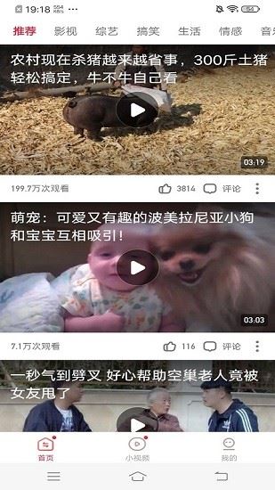 凯凯极速视频app下载