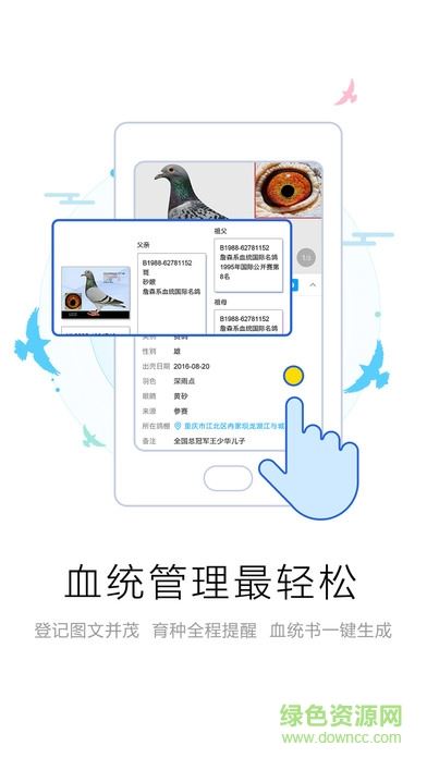 爱鸽者app软件