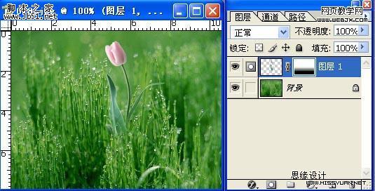 photoshop 蒙版的使用