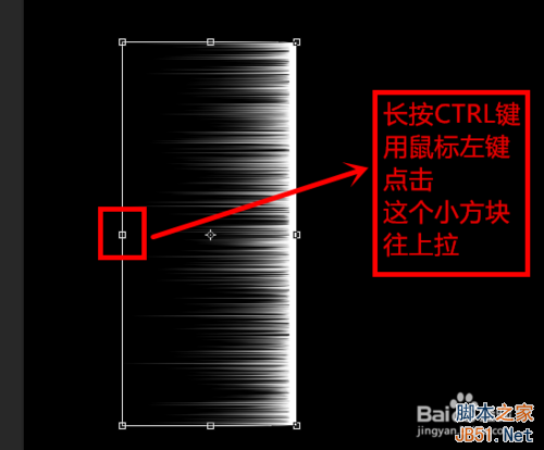 Photoshop简单制作漂亮的羽毛