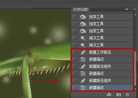 PS怎么使用路径功能给昆虫足上画尖刺?