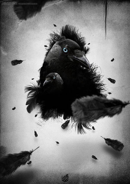 Photoshop 打造一幅黑白的乌鸦插画