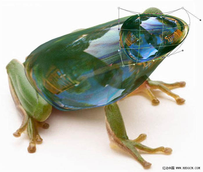 PS合成一只剔透的玻璃青蛙