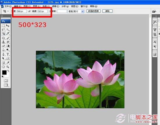 如何使用PS制作邮票 photoshop实例教程