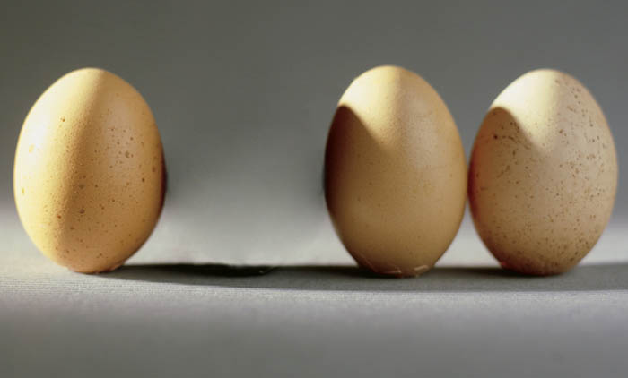photoshop合成制作出一个半透明的鸡蛋
