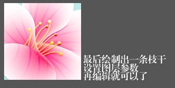 Photoshop设计制作出一朵清新的粉色梅花