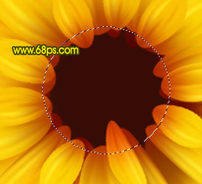Photoshop打造漂亮的向日葵花朵