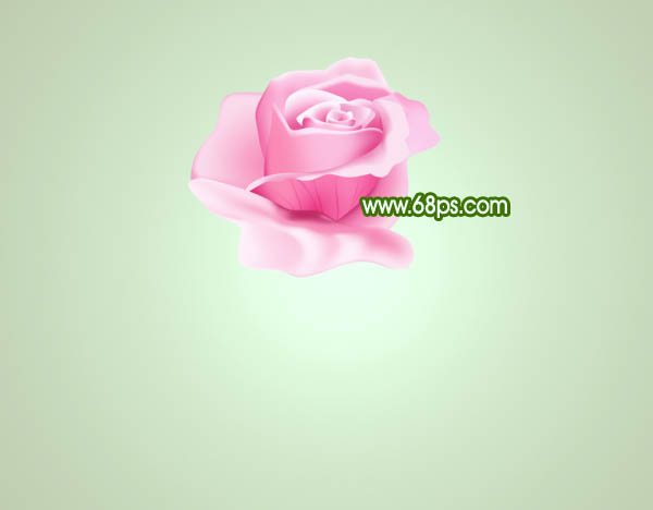 Photoshop打造鲜嫩的粉色玫瑰花