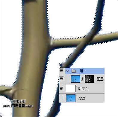 Photoshop利用通道和计算命令抠出复杂物体的实例教程