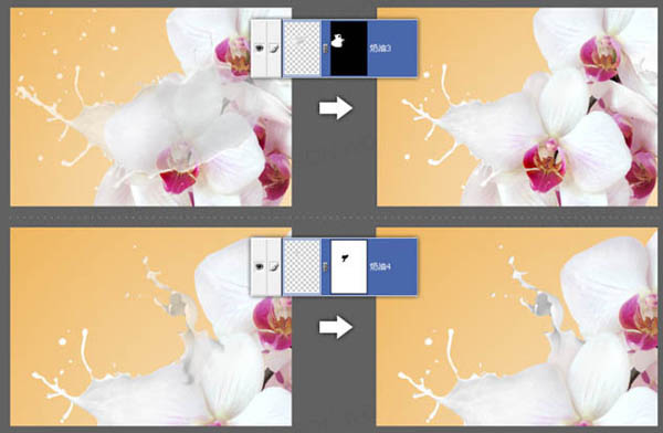 Photoshop合成牛奶泼洒出纯白色花朵的效果